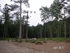 s_PICT0639_thumb.png